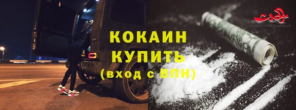 хмурый Арсеньев
