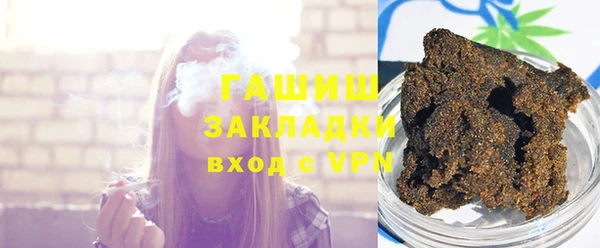 хмурый Арсеньев