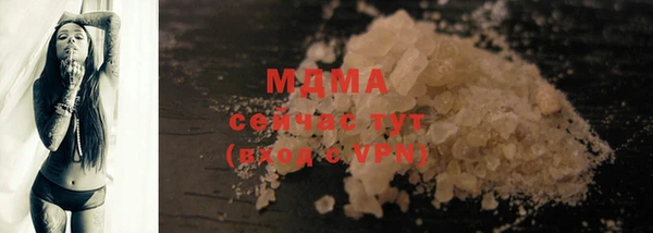 хмурый Арсеньев