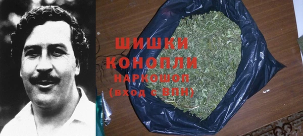 хмурый Арсеньев