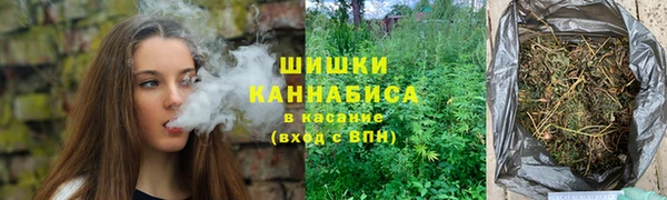 хмурый Арсеньев