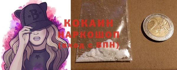 хмурый Арсеньев