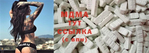 хмурый Арсеньев